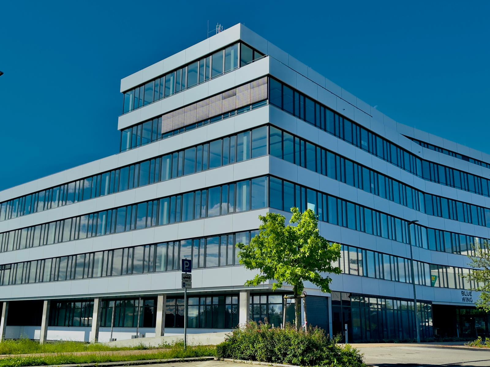 Blue Wing, Stuttgart